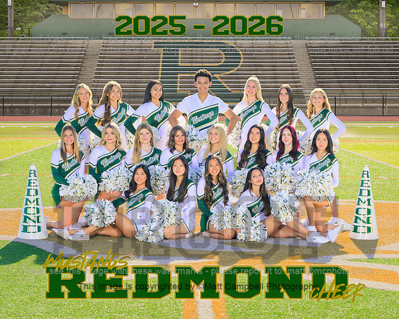 2025_TEAM