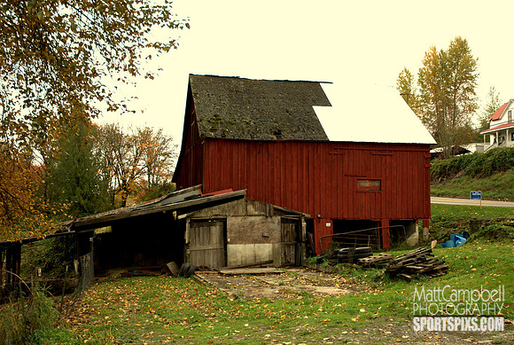 DSC_2493v2.jpg