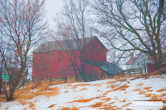 DSC_7331
