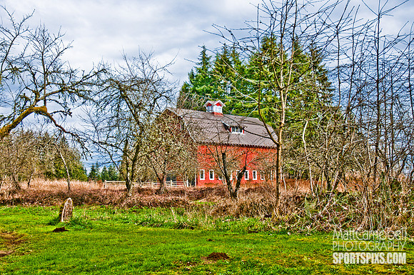 DSC_6591