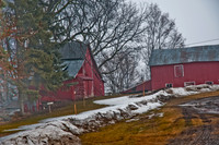 DSC_7342