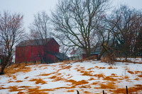 DSC_7337