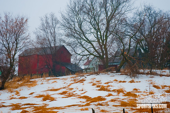 DSC_7337