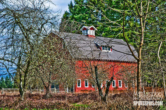 DSC_6586