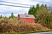 DSC_6596