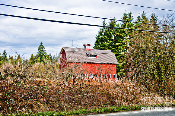 DSC_6596