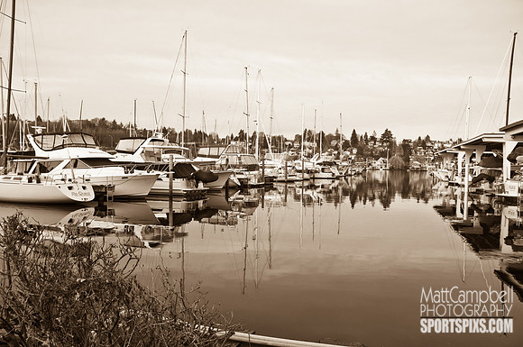 DSC_6346-2