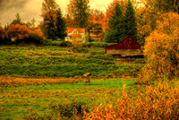 DSC_2448_49_50_tonemappedv1.jpg