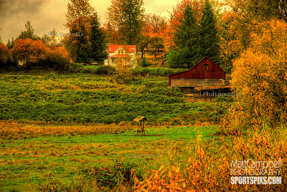DSC_2448_49_50_tonemappedv1.jpg