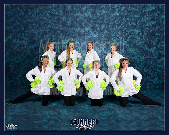 Jr Dance Silver Pom